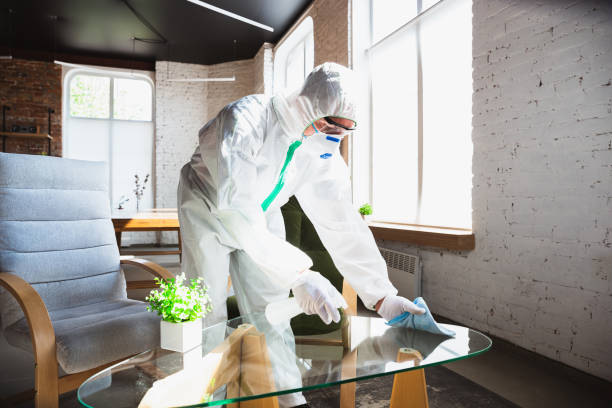 Professional Mold Removal Services in Lawrence, NY